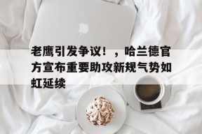  哈兰德专访 -九游官方平台