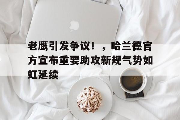  哈兰德专访 